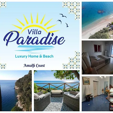 Paradise